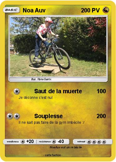 Pokemon Noa Auv