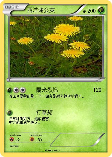 Pokemon 西洋蒲公英