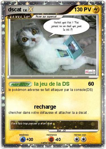 Pokemon dscat