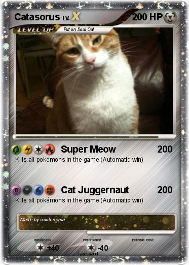 Pokemon Catasorus