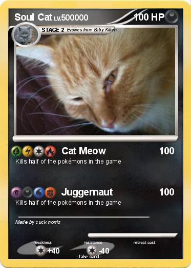 Pokemon Soul Cat