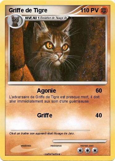 Pokemon Griffe de Tigre