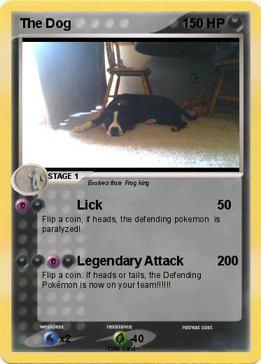 Pokemon The Dog