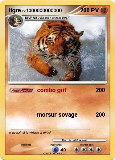 Pokemon tigre