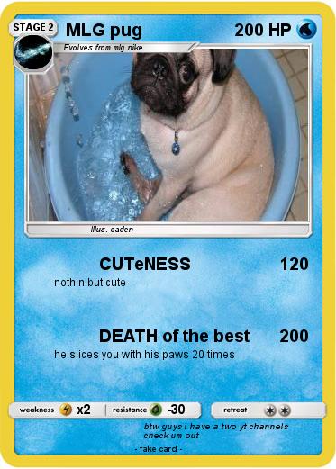 Pokemon MLG pug