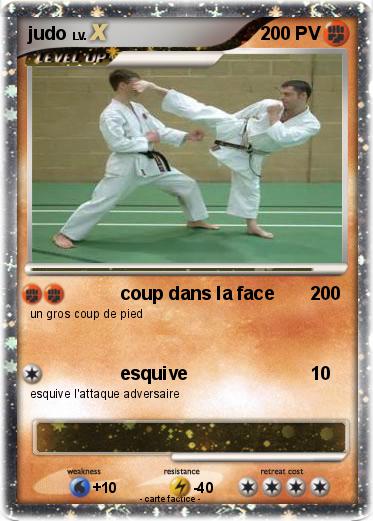 Pokemon judo