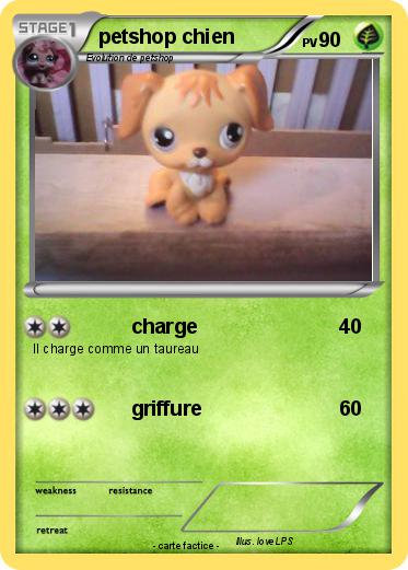 Pokemon petshop chien