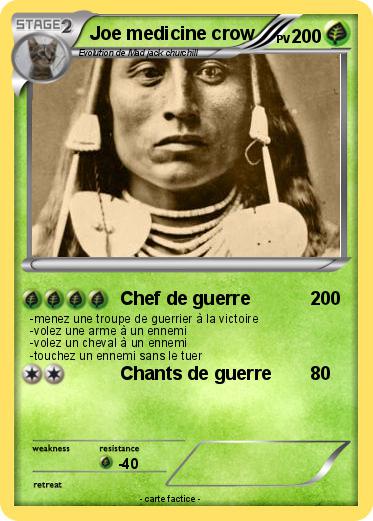 Pokemon Joe medicine crow