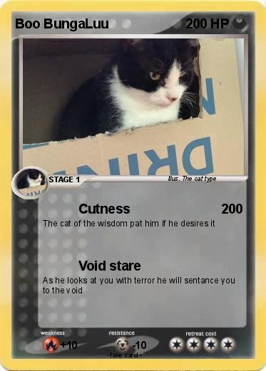 Pokemon Boo BungaLuu