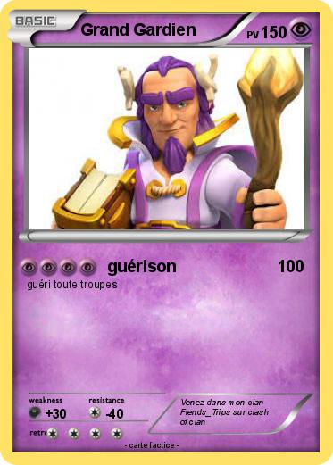 Pokemon Grand Gardien
