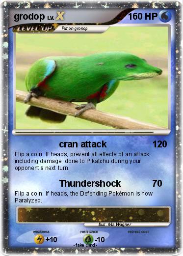 Pokemon grodop