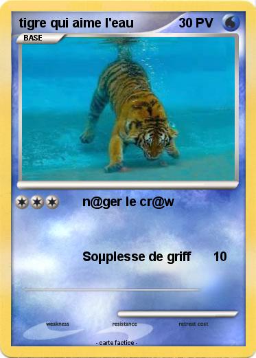 Pokemon tigre qui aime l'eau