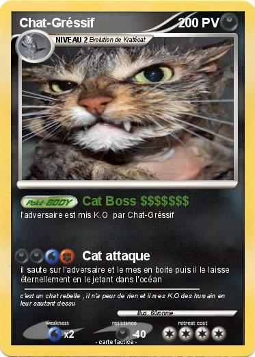 Pokemon Chat-Gréssif