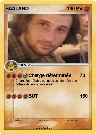 Pokemon HAALAND