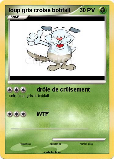 Pokemon loup gris croisé bobtail