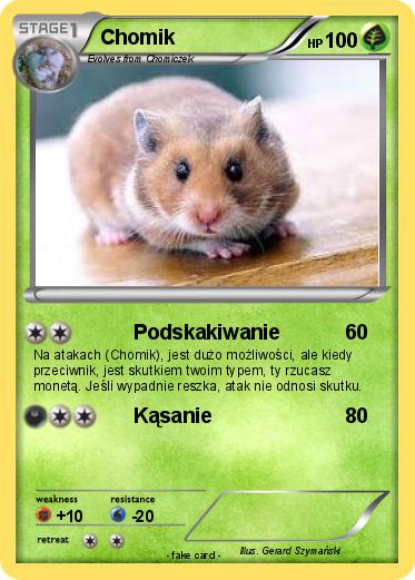 Pokemon Chomik