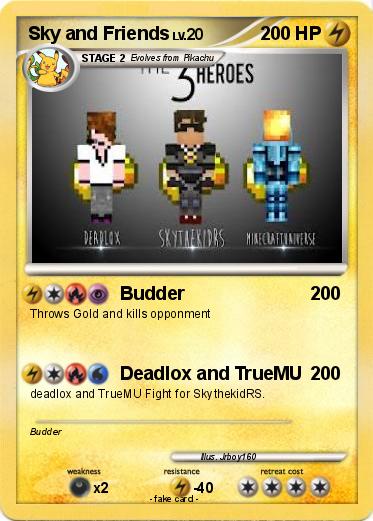 Pokemon Sky and Friends