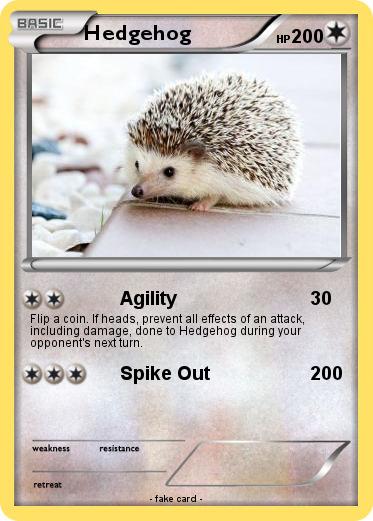 Pokemon Hedgehog