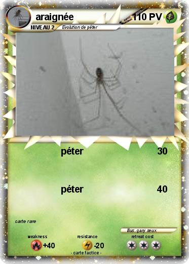Pokemon araignée