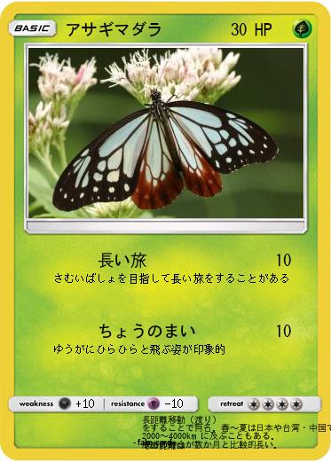 Pokemon アサギマダラ
