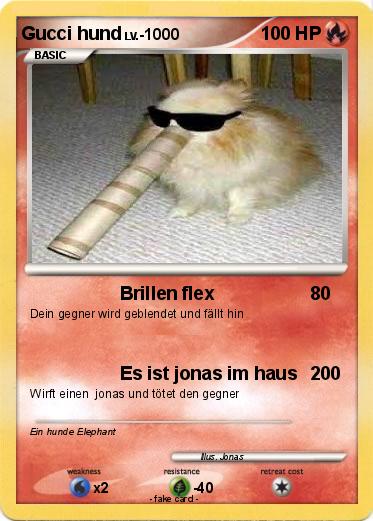 Pokemon Gucci hund