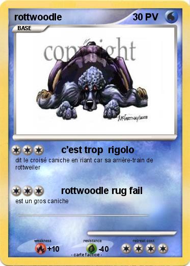 Pokemon rottwoodle