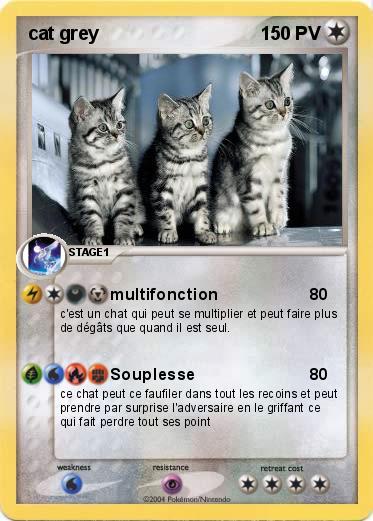 Pokemon cat grey
