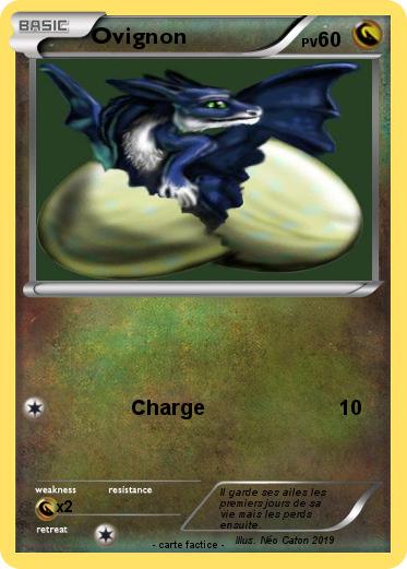 Pokemon Ovignon