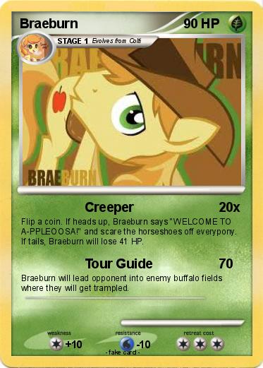 Pokemon Braeburn