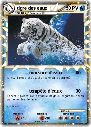 Pokemon tigre des eaux