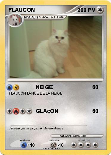 Pokemon FLAUCON