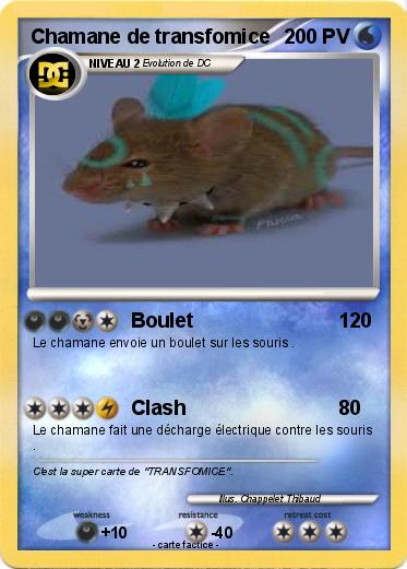 Pokemon Chamane de transfomice