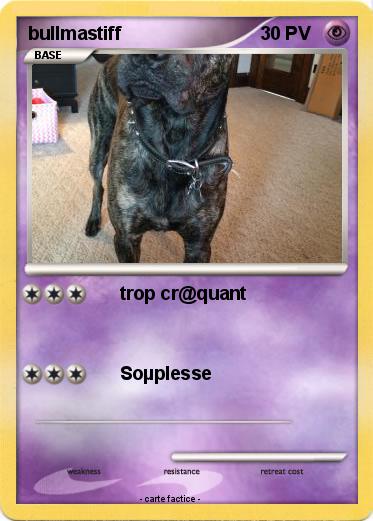 Pokemon bullmastiff