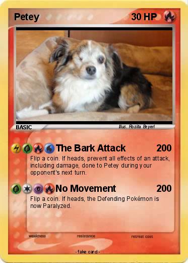 Pokemon Petey