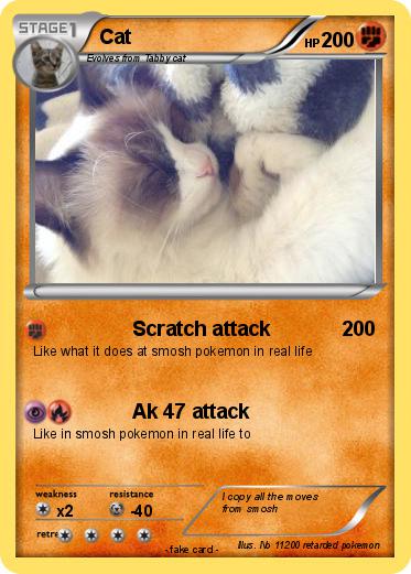 Pokemon Cat