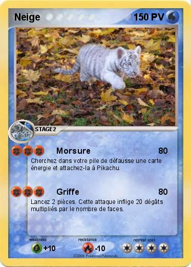 Pokemon Neige