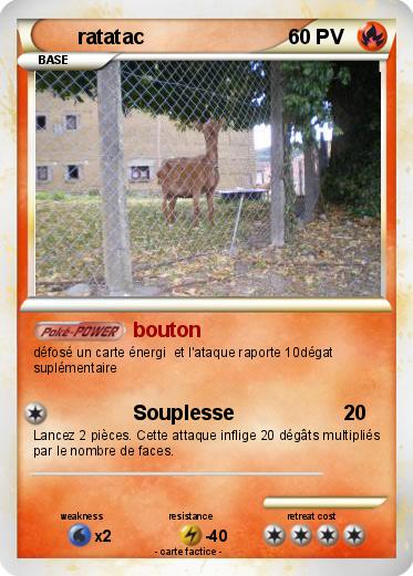 Pokemon ratatac
