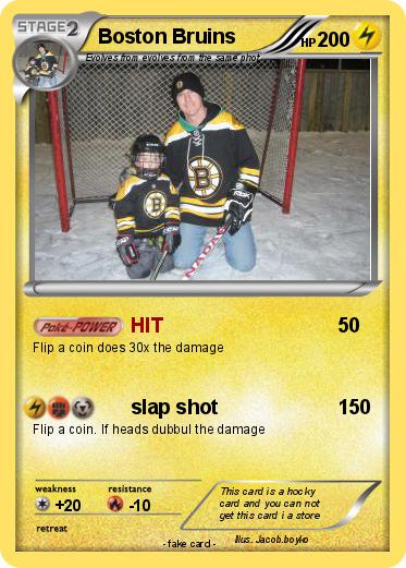Pokemon Boston Bruins