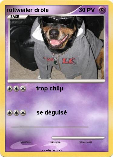 Pokemon rottweiler drôle