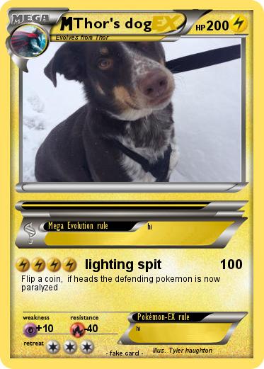 Pokemon Thor's dog