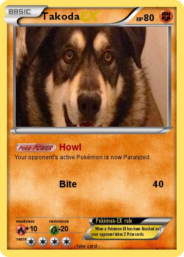 Pokemon Takoda
