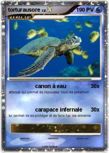 Pokemon torturausore