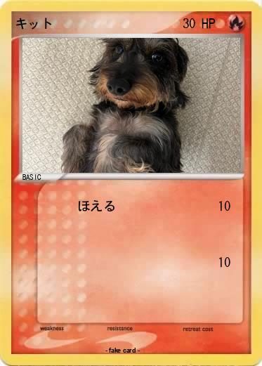 Pokemon キット