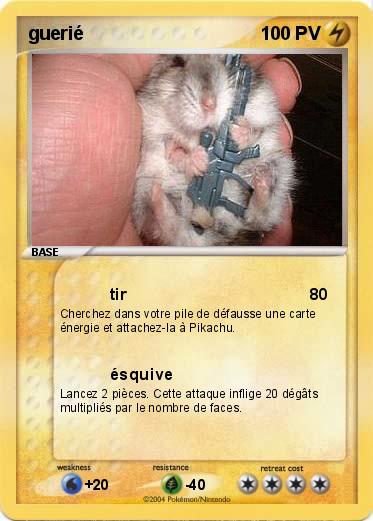 Pokemon guerié