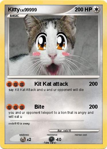 Pokemon Kitty
