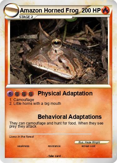 Pokemon Amazon Horned Frog