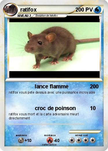 Pokemon ratifox