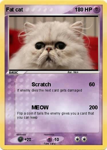 Pokemon Fat cat