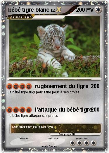 Pokemon bébé tigre blanc