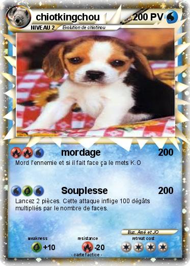 Pokemon chiotkingchou